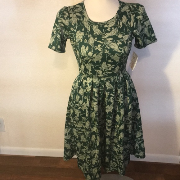 LuLaRoe Dresses & Skirts - NWT LulaRoe Amelia Small Dress green w/birds